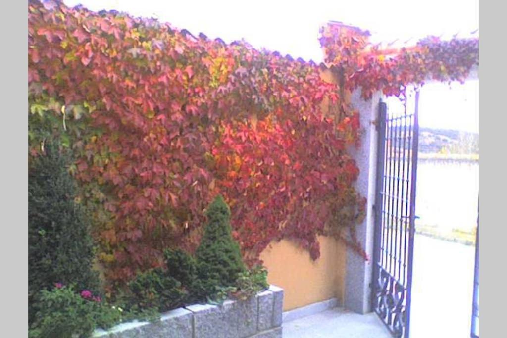 Casa Del Portalon Holiday home Ituero y Lama