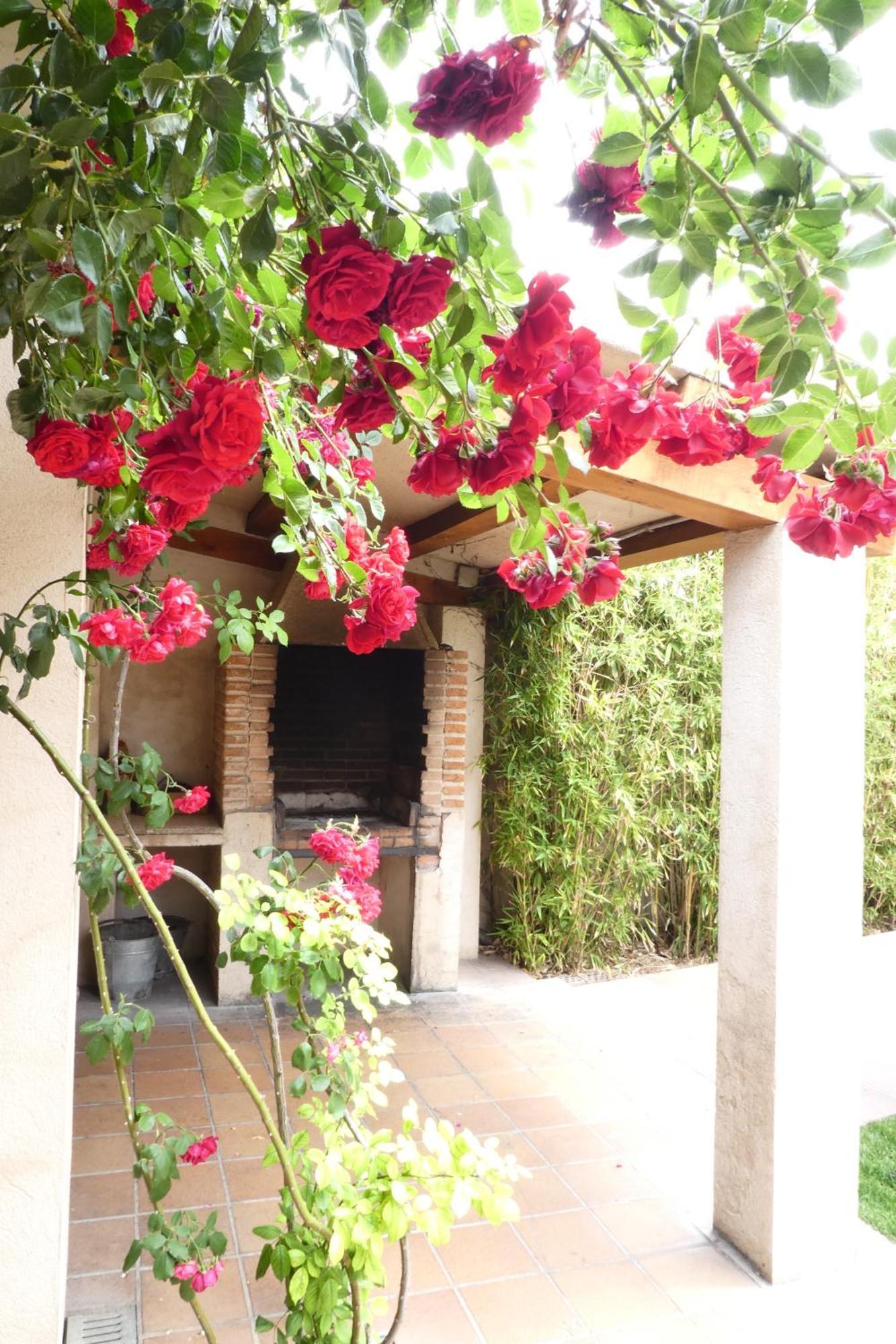 Casa Del Portalon * Ituero y Lama